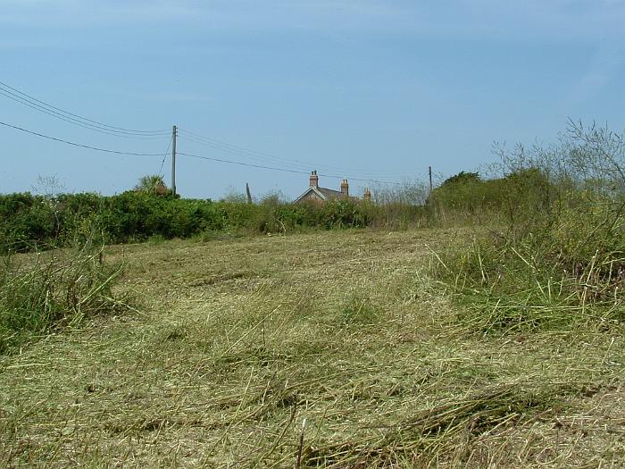 2 Clearing the Field (13)